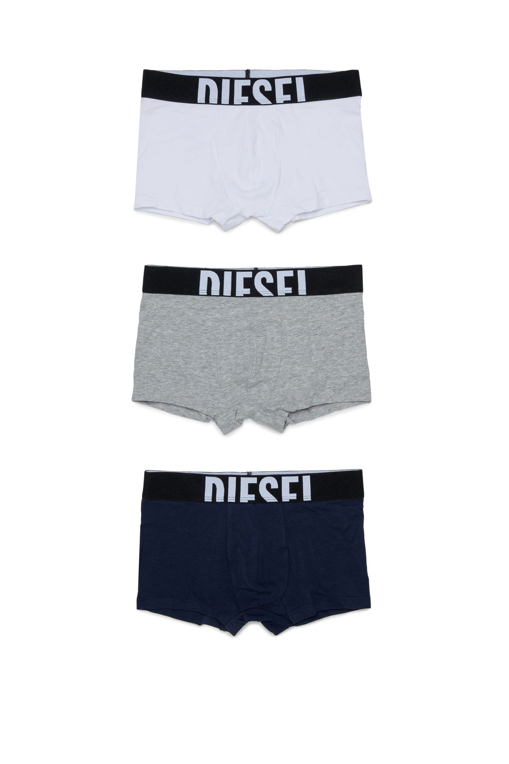 Boxer DIESEL