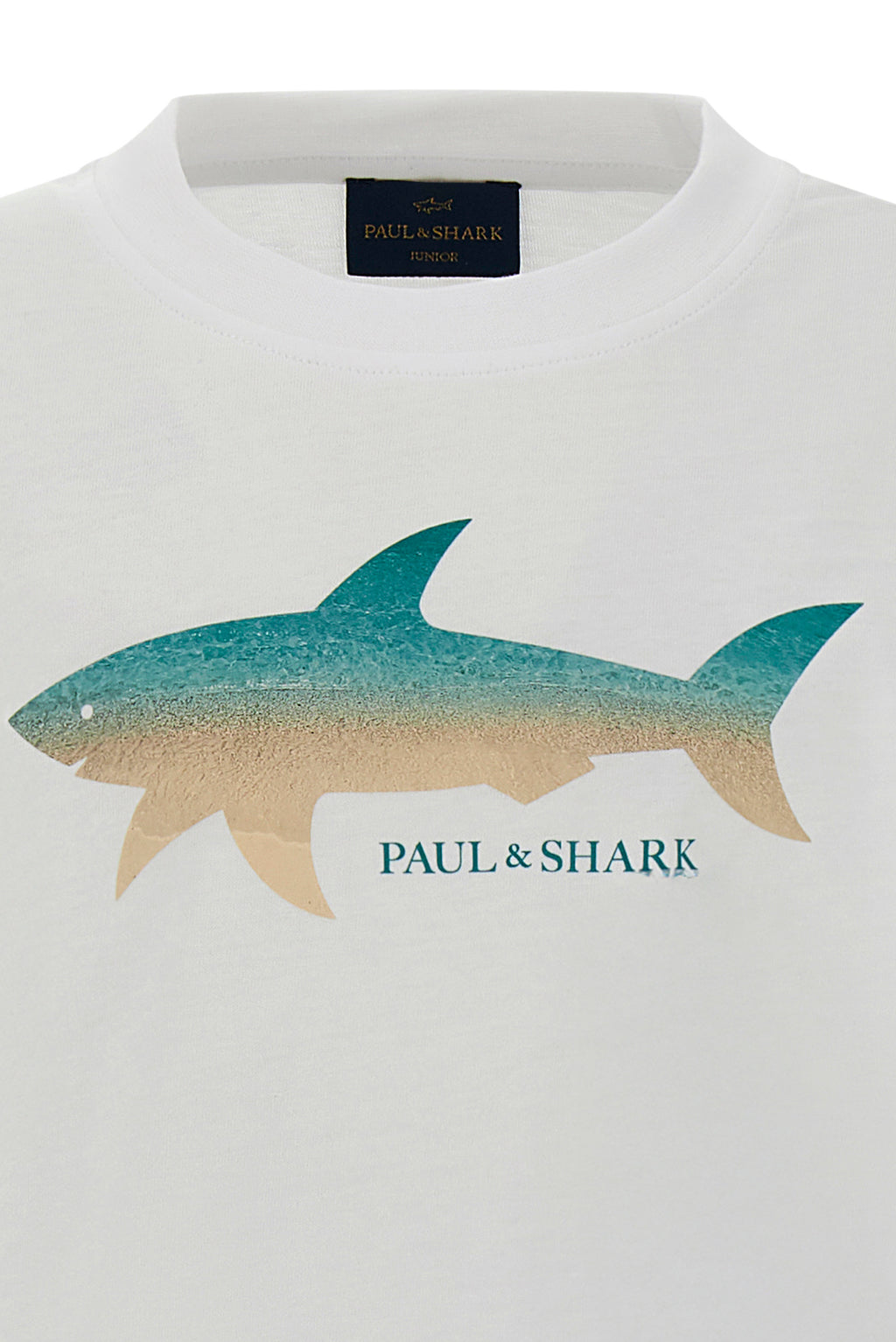T-SHIRT PAUL & SHARK Bianco