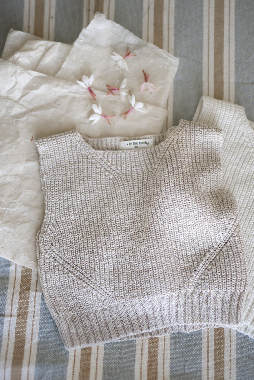 Gilet 1+ IN THE FAMILY Beige