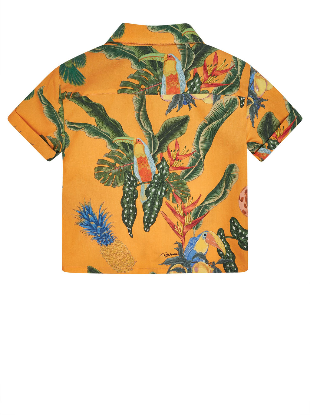 SHIRT ROBERTO CAVALLI KIDS Giallo